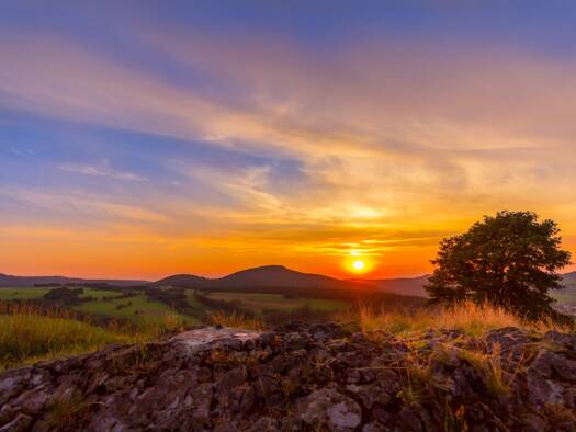 Grundstück zum Kauf 515.000 € 497 m² Grundstück Egelsbach 63329