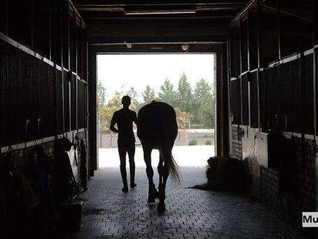 Lagerhalle zum Kauf 224.000 € Eich Andernach 56626