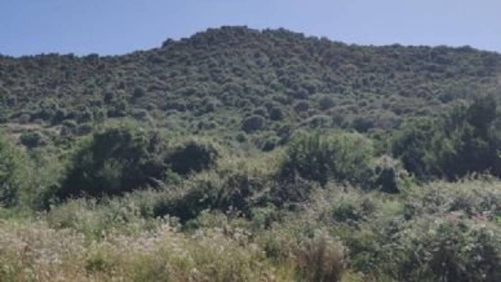 Grundstück zum Kauf 45.000 € 15.000 m² Grundstück BUDONI - SARDINIEN