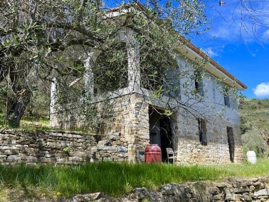 Bauernhaus zum Kauf 420.000 € 4 Zimmer 70 m² 12.148 m² Grundstück frei ab sofort Ponte Raggio- La Colla Dolceacqua 18035