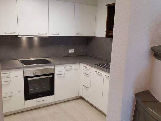 Wohnung zur Miete 850 € 2 Zimmer 110 m² frei ab sofort Waldshut Waldshut-Tiengen 79761