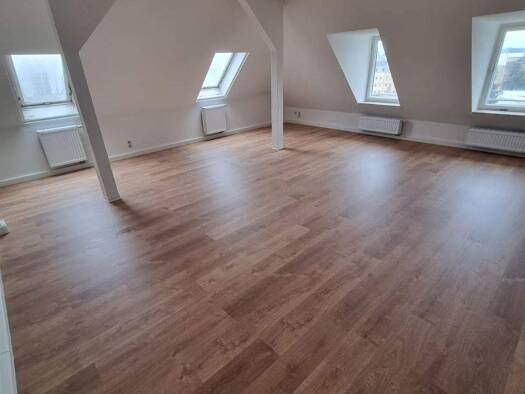 Wohnung zur Miete 550 € 3 Zimmer 142,6 m² Geschoss 3/3 frei ab sofort Pausaer Straße 80 Haselbrunn Plauen 08525