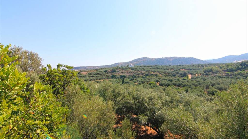 Land-/Forstwirtschaft zum Kauf 150.000 € 4.000 m² Grundstück Kreta