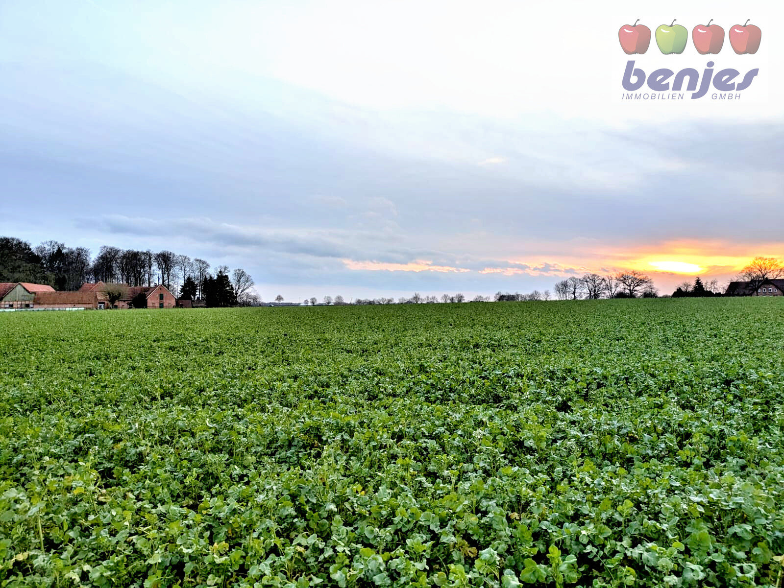 Landwirtschaftliche Fläche zum Kauf 84.863 m²<br/>Grundstück Bruchhausen-Vilsen Bruchhausen-Vilsen / Homfeld 27305