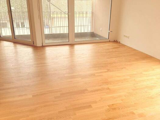 Wohnung zum Kauf - Neubau provisionsfrei als Kapitalanlage geeignet 425.000 € 3 Zimmer 80,5 m² Friedingen Singen (Hohentwiel) 78224