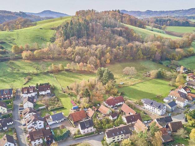 Bauernhaus zum Kauf 648.000 € 7 Zimmer 200 m² 938 m² Grundstück Weiher Mörlenbach-Weiher 69509