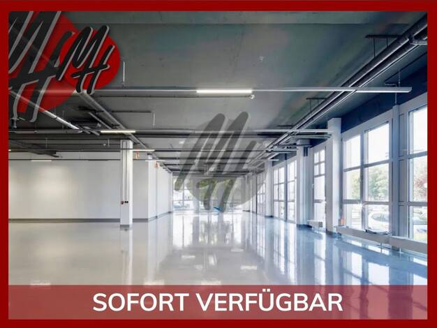 Lagerhalle zur Miete 850 m² Lagerfläche Sossenheim West 65936