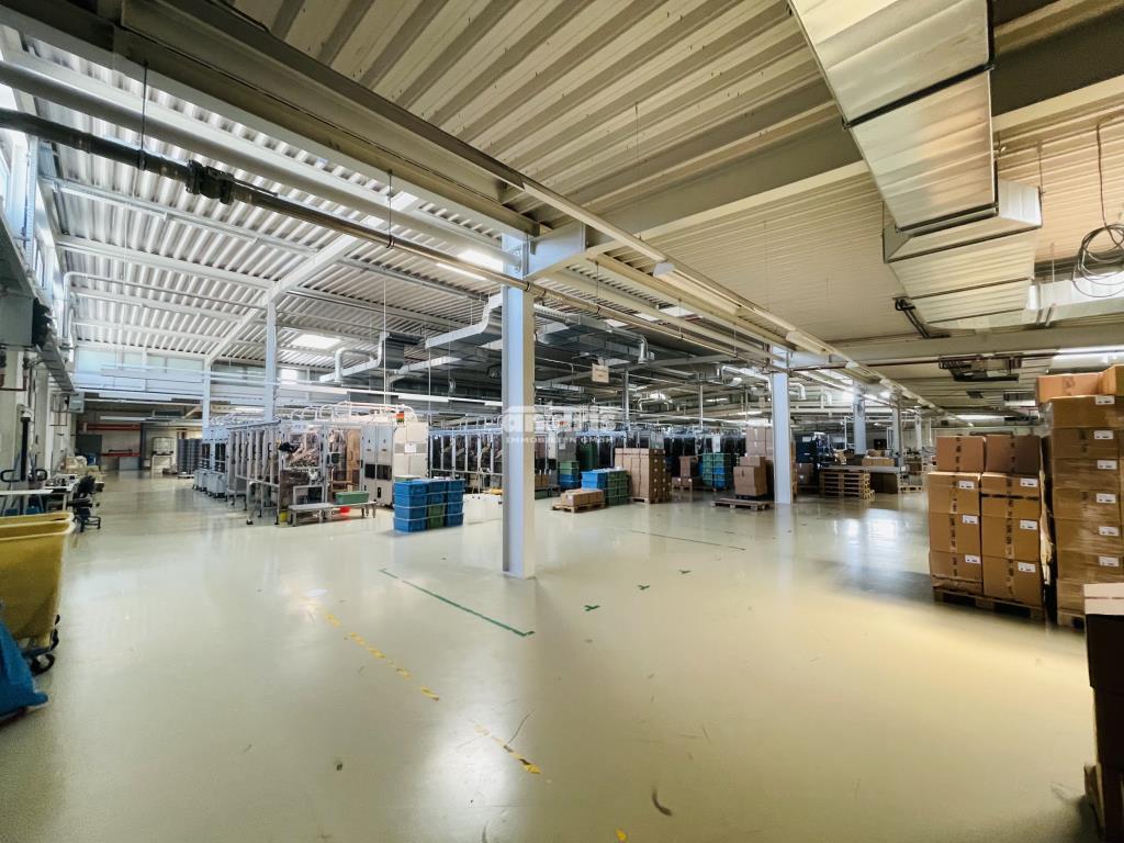 Lagerhalle zur Miete 3.131 m²<br/>Lagerfläche ab 3.131 m²<br/>Teilbarkeit Ilversgehofen Erfurt 99089