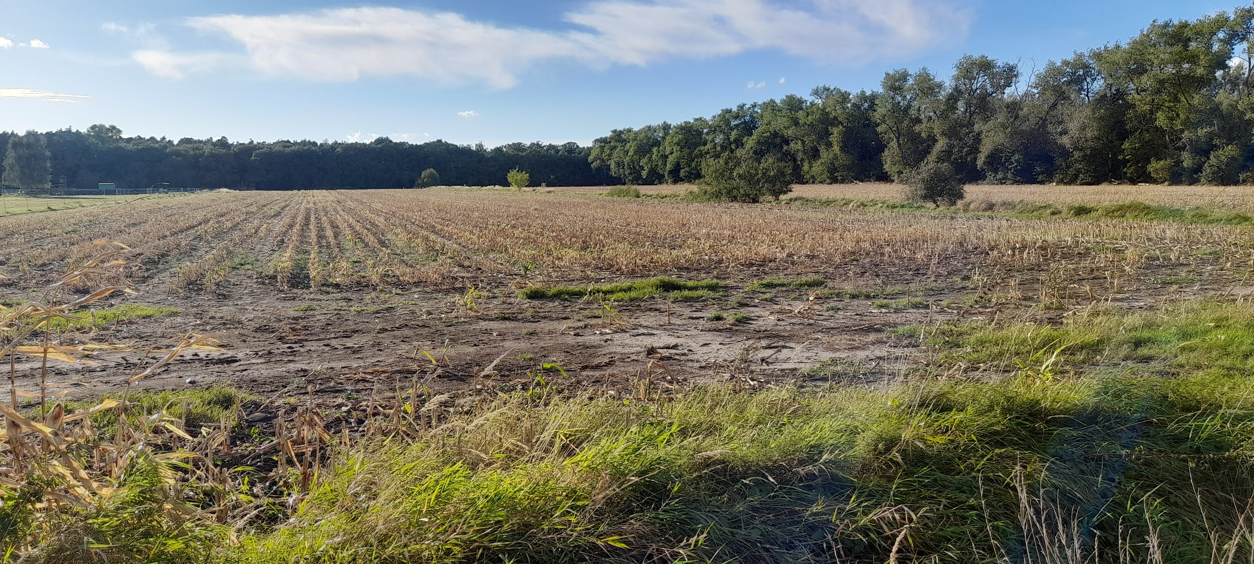 Landwirtschaftliche Fläche zum Kauf 56.189 m²<br/>Grundstück Tangermünde Tangermünde 39590