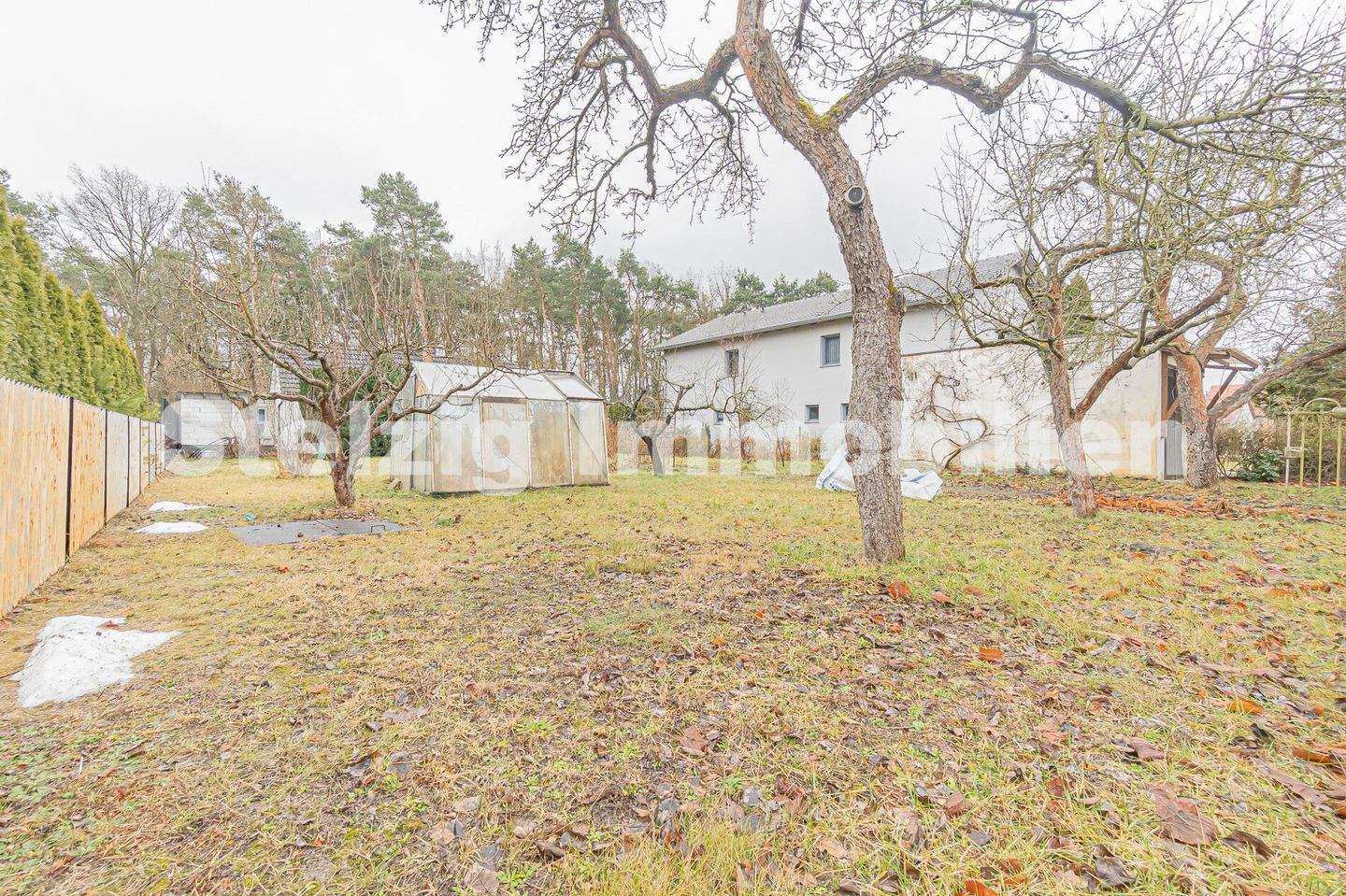 Immobilie in Ruhland - Kleines Haus. Große Möglichkeit. - Bild 1