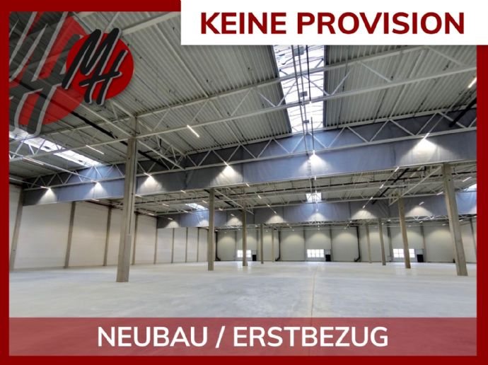 Lagerhalle zur Miete provisionsfrei 30.000 m²<br/>Lagerfläche ab 5.000 m²<br/>Teilbarkeit Alexander-v.-Humboldt-Schule 6 Viernheim 68519