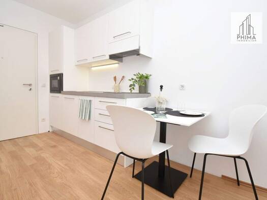 Wohnung zur Miete 847 € 2 Zimmer 25,7 m² Rheinstraße 93 Hard 6971