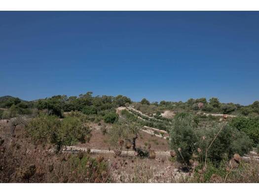 Acker-/Waldstück zum Kauf 450.000 € Manacor 07500