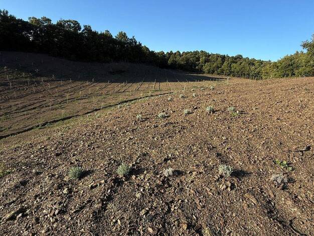 Grundstück zum Kauf 159.000 € 54.070 m² Grundstück Massa Marittima 58024