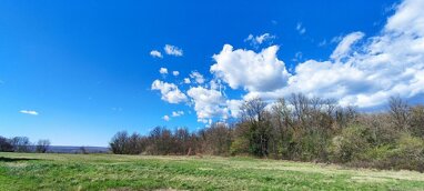 Land-/Forstwirtschaft zum Kauf 150.000 € Labin