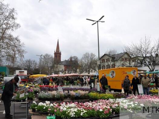 Wohnung zur Miete 720 € 2 Zimmer 56 m² Höchst Frankfurt am Main 65929