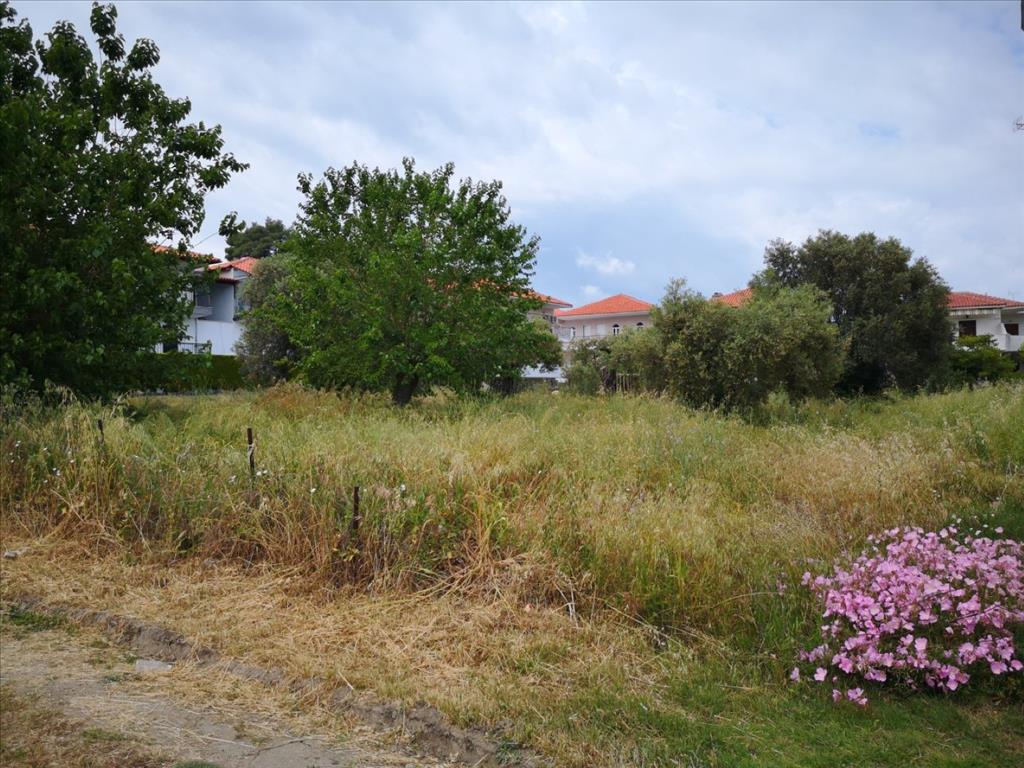 Land-/Forstwirtschaft zum Kauf 2.000.000 € 4.500 m²<br/>Grundstück Chalkidiki