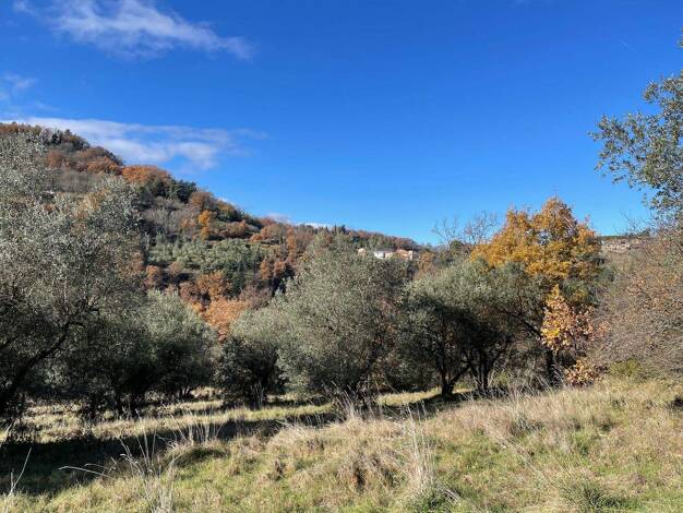 Grundstück zum Kauf 38.000 € 27.500 m² Grundstück Chiusdino 53012