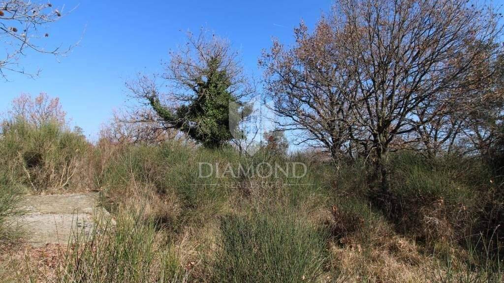 Land-/Forstwirtschaft zum Kauf 350.000 € Vodnjan Vodnjan