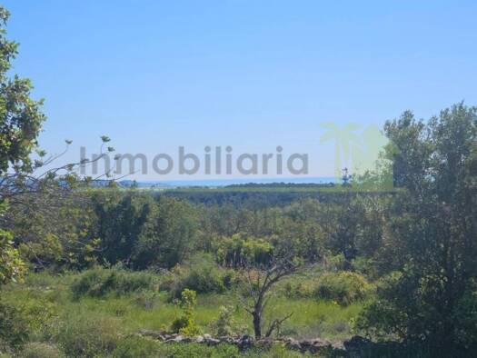 Acker-/Waldstück zum Kauf 90.000 € Sant Jordi / San Jorge 12320