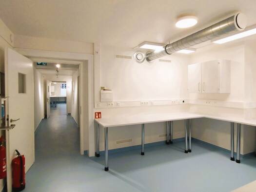 Büro zur Miete 4.914 € 230 m² Bürofläche Stadtmitte Rostock 18055