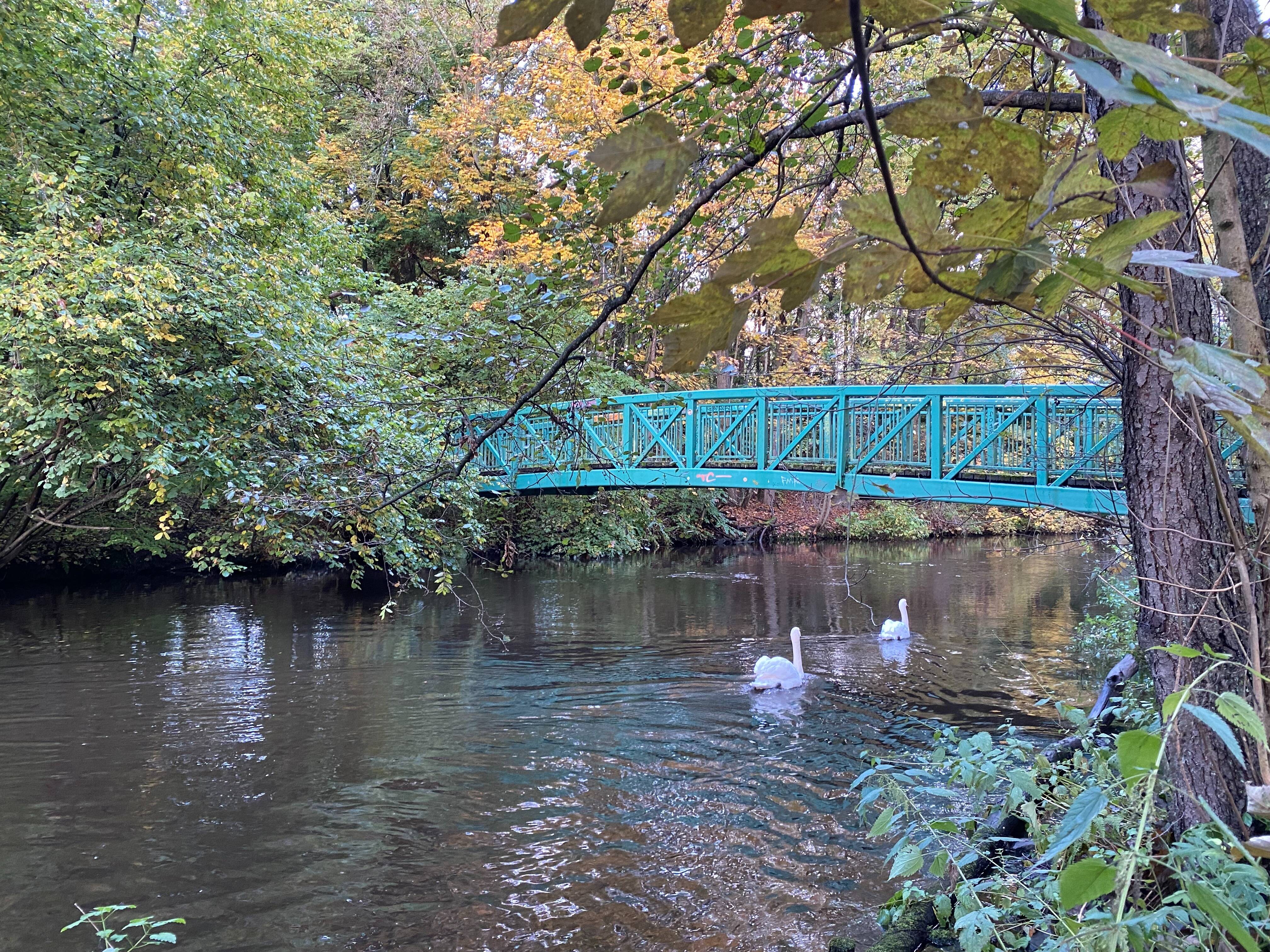 Property thumbnail 9