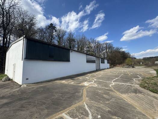 Lagerhalle zum Kauf provisionsfrei 239.000 € 491 m² Lagerfläche Großschirma Großschirma 09603