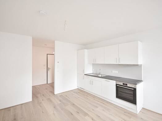 Wohnung zur Miete 730 € 2 Zimmer 38,2 m² 1. Geschoss Wien 1140