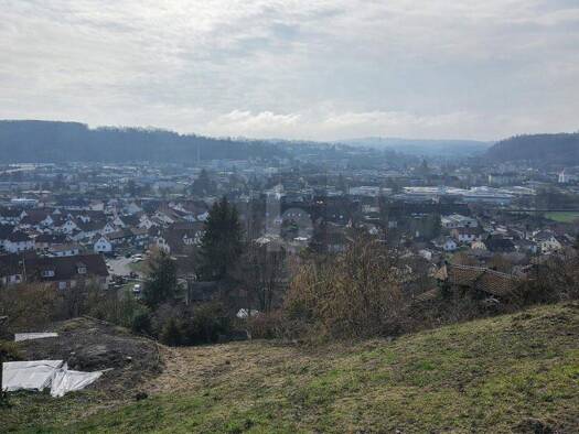 Grundstück zum Kauf 120.000 € 959 m² Grundstück Hauingen Lörrach 79541