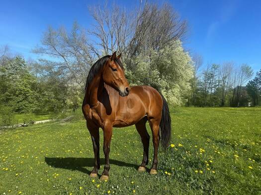 Freizeitgrundstück zum Kauf 210.000 € 2.000 m² Grundstück Percha Berg 82335