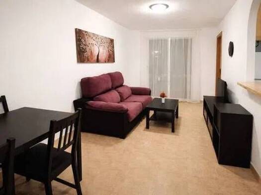 Wohnung zur Miete 650 € 1 Zimmer 55 m² Calle Vicente Blasco Ibáñez Torrevieja 03182