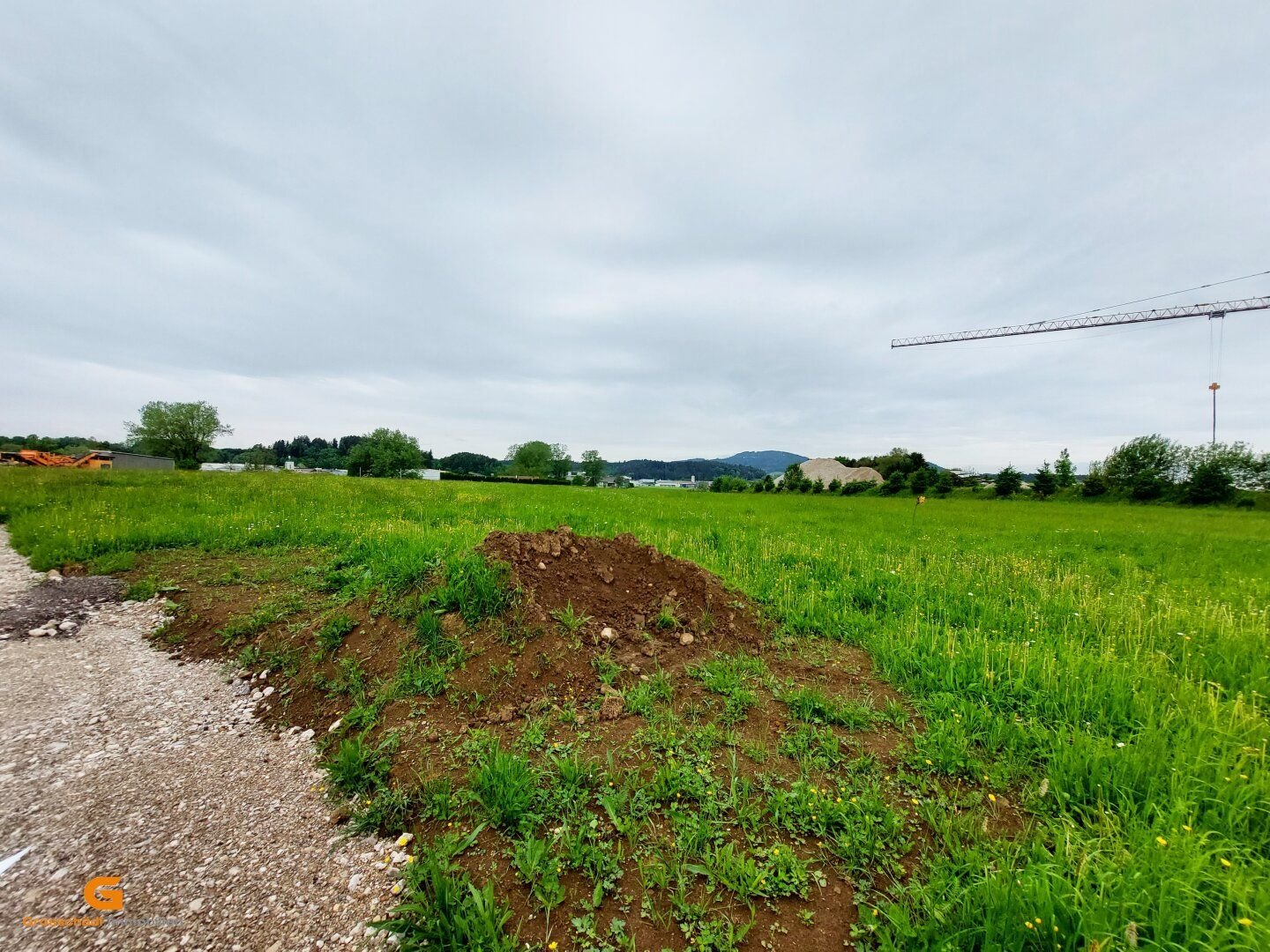 Gewerbegrundstück zur Miete 25.000 m²<br/>Grundstück Neumarkt am Wallersee 5202