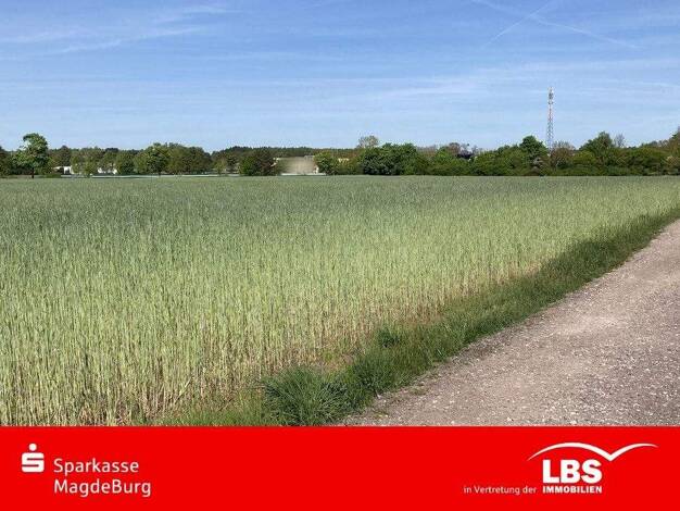 Land-/Forstwirtschaft zum Kauf 40.000 € 25.805 m² Grundstück Schermen 39291