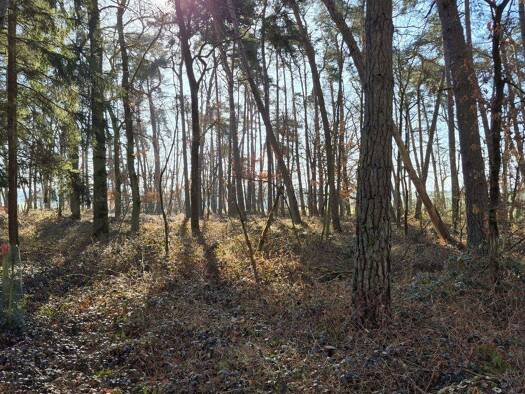 Forstwirtschaft zum Kauf 39.000 € 7.311 m² Grundstück Hauptstraße Puch Pörnbach 85309