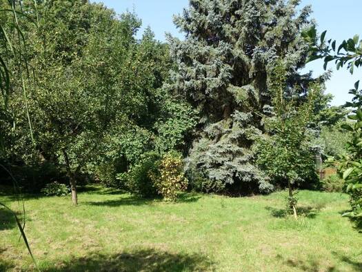 Grundstück zum Kauf 70.000 € 600 m² Grundstück Freiberg 09599