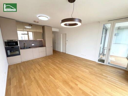 Wohnung zur Miete 1.075 € 2 Zimmer 54,6 m² 11. Geschoss frei ab 01.12.2026 Doktor-Adolf-Schärf-Platz 5 Wien 1220