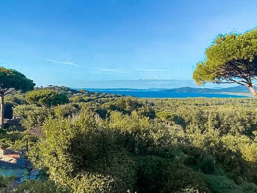 Haus zum Kauf 1.670.000 € 295 m² 3.600 m² Grundstück Castiglione della Pescaia 58043