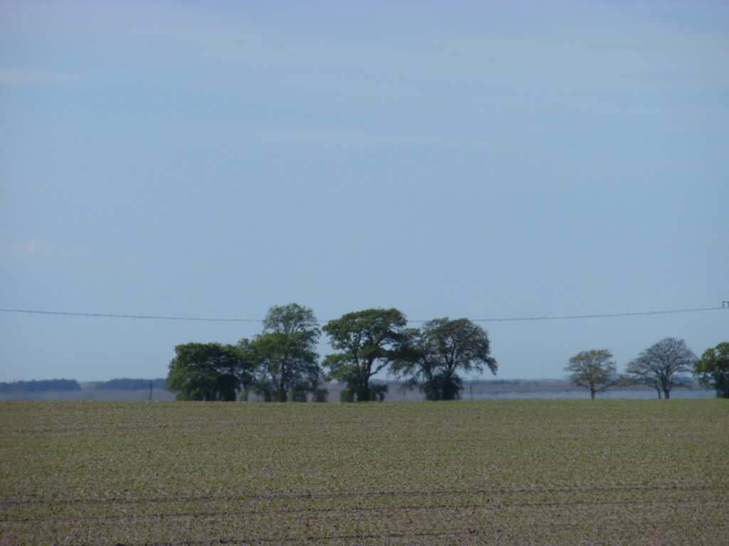 Landwirtschaftliche Fläche zum Kauf 500.000 € 81.391 m²<br/>Fläche Boddenweg Wendisch Langendorf Wendisch Langendorf Groß Mohrdorf 18445