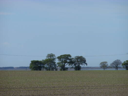 Landwirtschaftliche Fläche zum Kauf 500.000 € 81.391 m² Boddenweg Wendisch Langendorf Groß Mohrdorf 18445