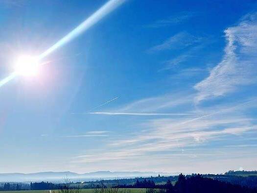 Grundstück zum Kauf 125.000 € 355 m² Grundstück Börtlingen 73104