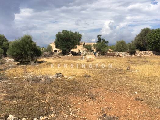 Freizeitgrundstück zum Kauf provisionsfrei 600.000 € 84.743 m² Grundstück Llubí 07430