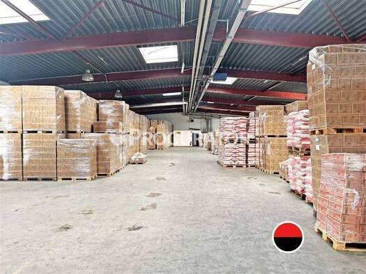 Lagerhalle zur Miete 1.750 m² Lagerfläche Billbrook Hamburg 22113