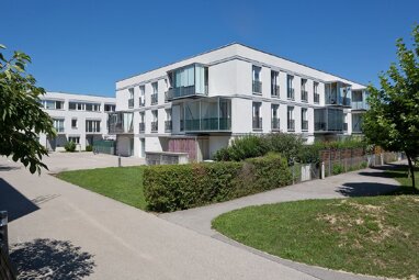 Wohnung zur Miete 1.227,20 € 4 Zimmer 101,8 m² frei ab 30.09.2024 Blindenmarkt 3372