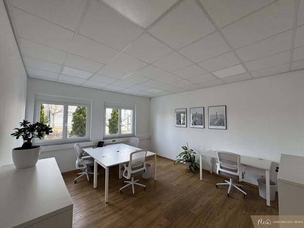 Büro zur Miete 390 € 1 Zimmer 22 m² Bürofläche Mitterdorf an der Raab 8160