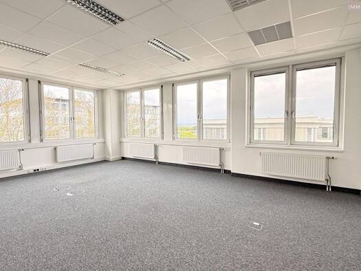 Bürofläche zur Miete 4.627 € 10 Zimmer 487 m² Bürofläche Schwechat 2320