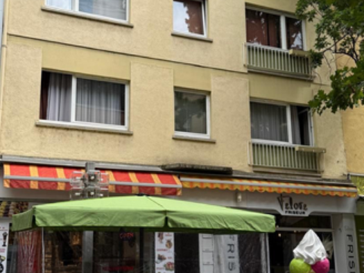 Mehrfamilienhaus zum Kauf 1.230.000 € 9 Zimmer 258 m² 436 m² Grundstück Frankenthal 67227