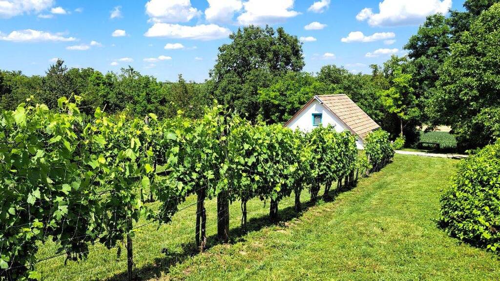 Haus zum Kauf provisionsfrei 45.000 € 2 Zimmer 50 m² 1.875 m² Grundstück Miklósi