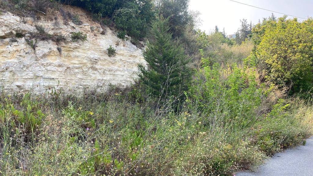 Land-/Forstwirtschaft zum Kauf 140.000 € 3.215 m² Grundstück Kreta