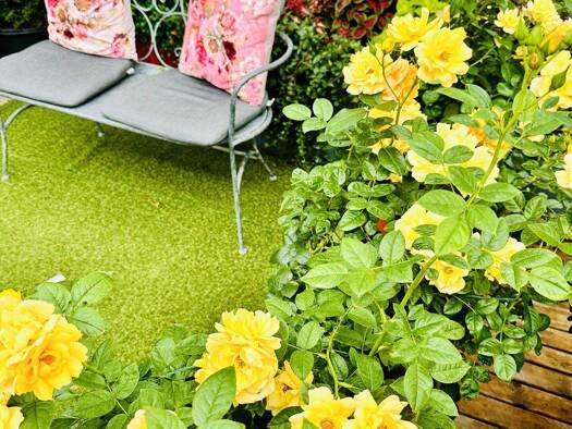 Doppelhaushälfte zum Kauf - Erstbezug 499.000 € 6 Zimmer 158 m² 310 m² Grundstück Tännesberg 92723