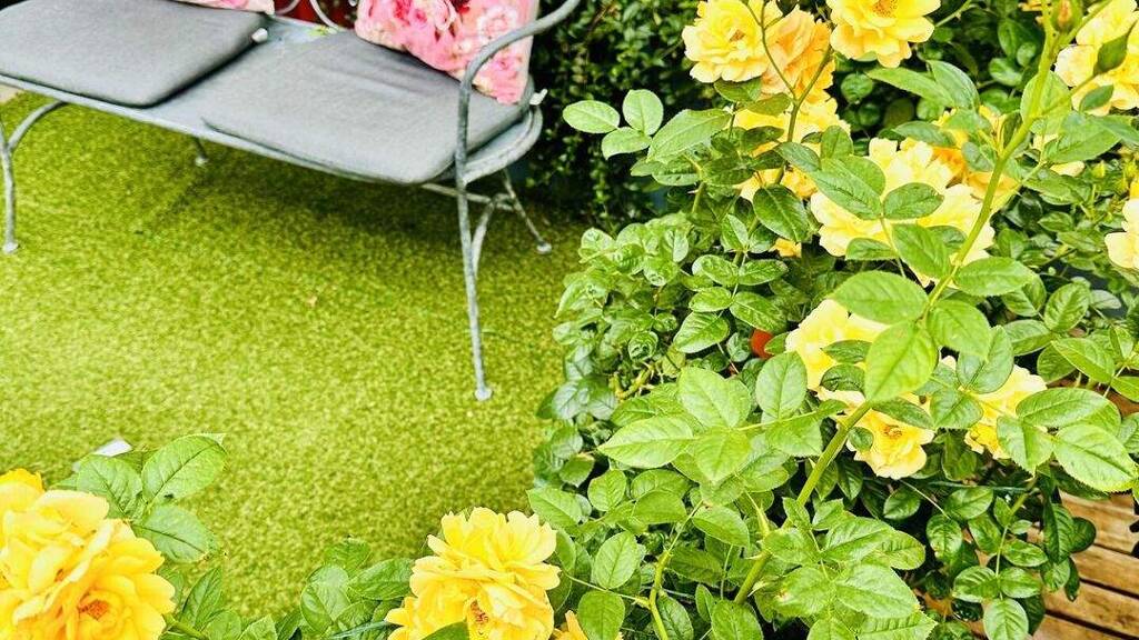 Doppelhaushälfte zum Kauf - Erstbezug 499.000 € 6 Zimmer 158 m² 310 m² Grundstück Tännesberg 92723